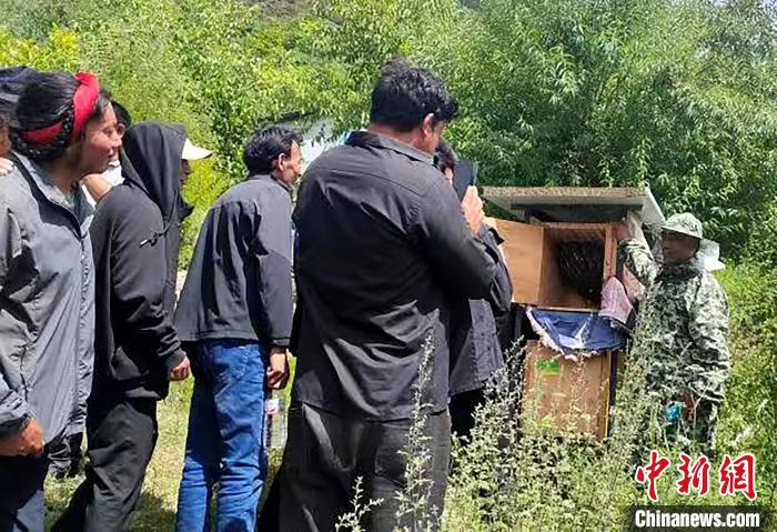 拉久西村村民學(xué)習(xí)養(yǎng)蜂工作流程和防范事項(xiàng)?！〔际忻⒖悼h委宣傳部供圖