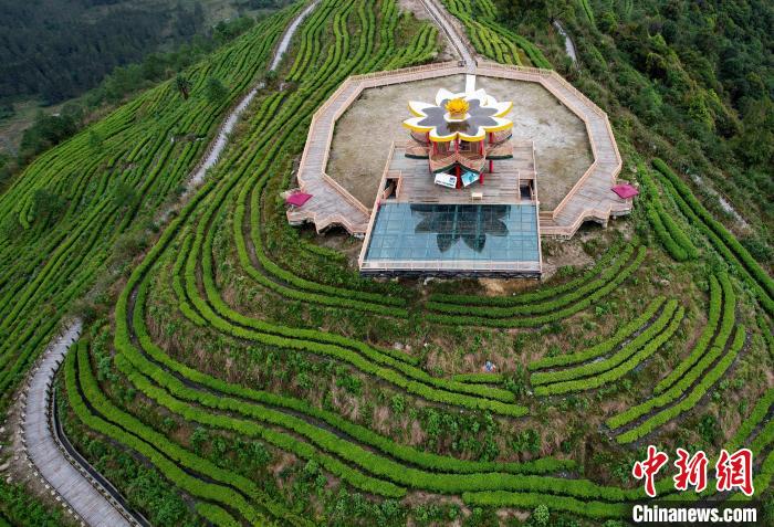 圖為西藏林芝市墨脫縣背崩鄉(xiāng)格林村山頂?shù)木坝^茶園。(無人機(jī)照片) 李林 攝