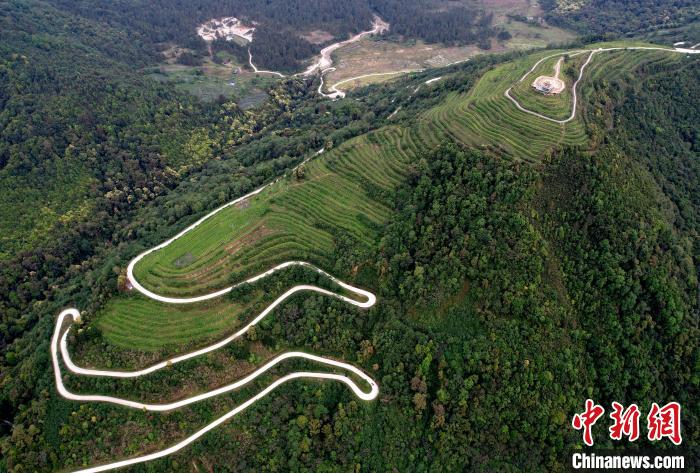 圖為西藏林芝市墨脫縣背崩鄉(xiāng)格林村山頂?shù)木坝^茶園。(無人機(jī)照片) 李林 攝