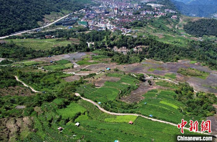 圖為西藏林芝市墨脫縣城附近的茶田。(無人機(jī)照片) 李林 攝