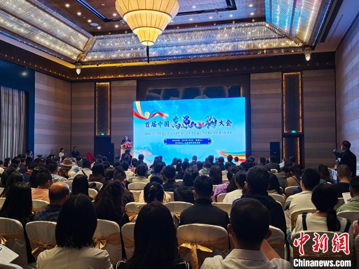圖為首屆中國高原心胸大會現(xiàn)場?！☆D旦旺姆 攝