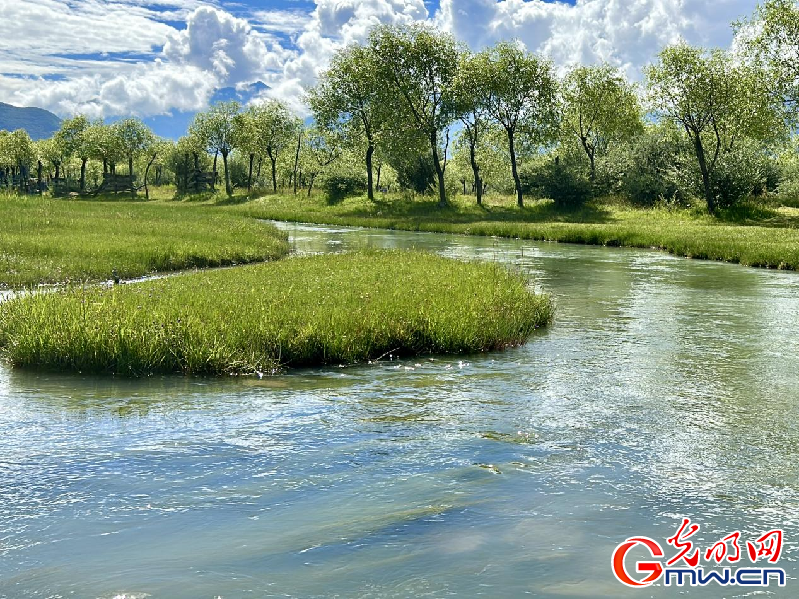 我們的家園丨【組圖】 綠水青山入畫，“金山銀山”筑起