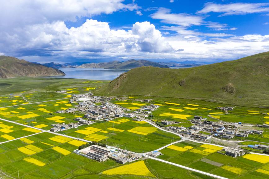 航拍道布龍村，依山傍水，阡陌縱橫。