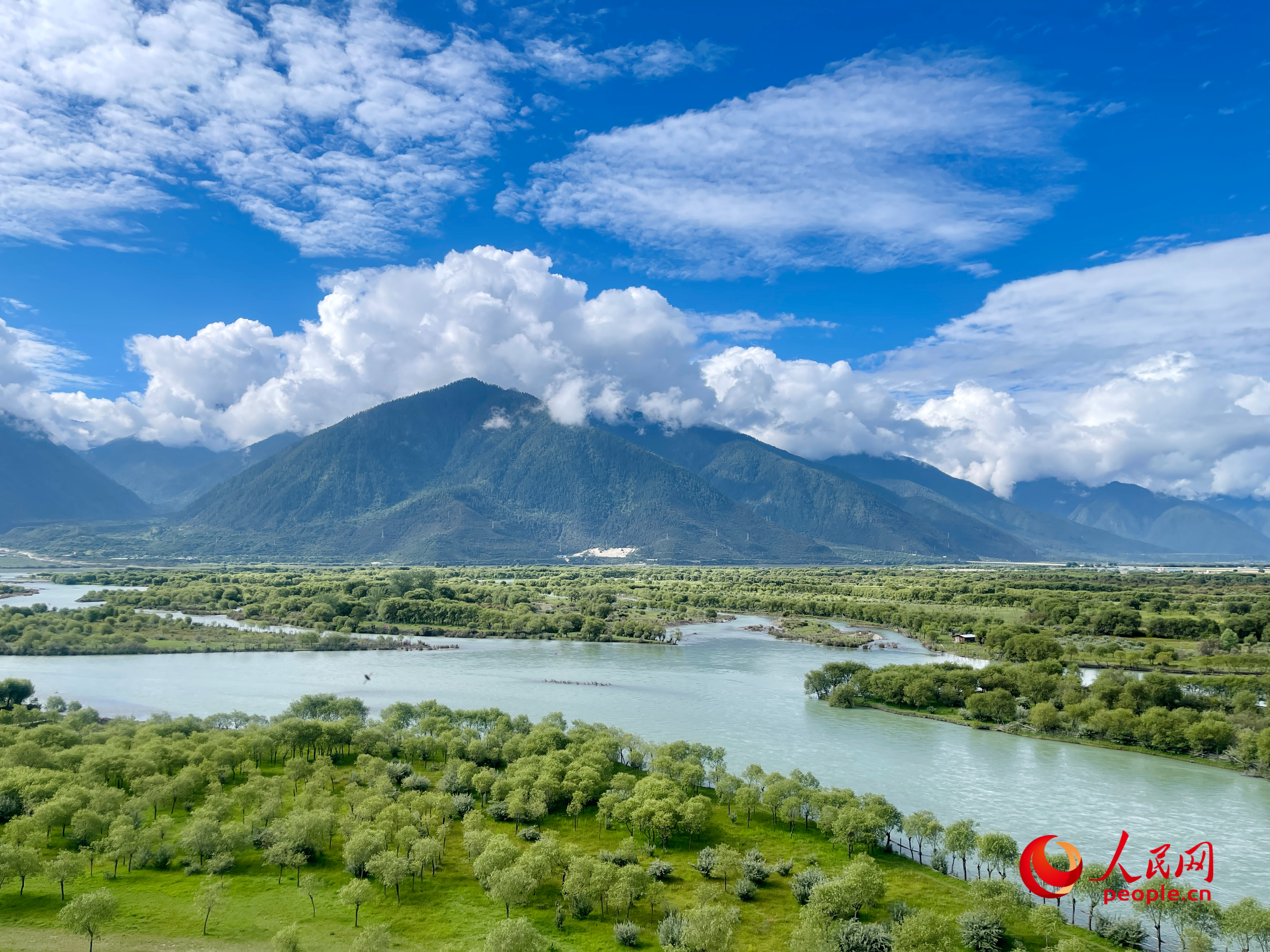 夏日的雅尼國(guó)家濕地公園生機(jī)盎然，如詩(shī)如畫(huà)。人民網(wǎng) 周靜圓攝