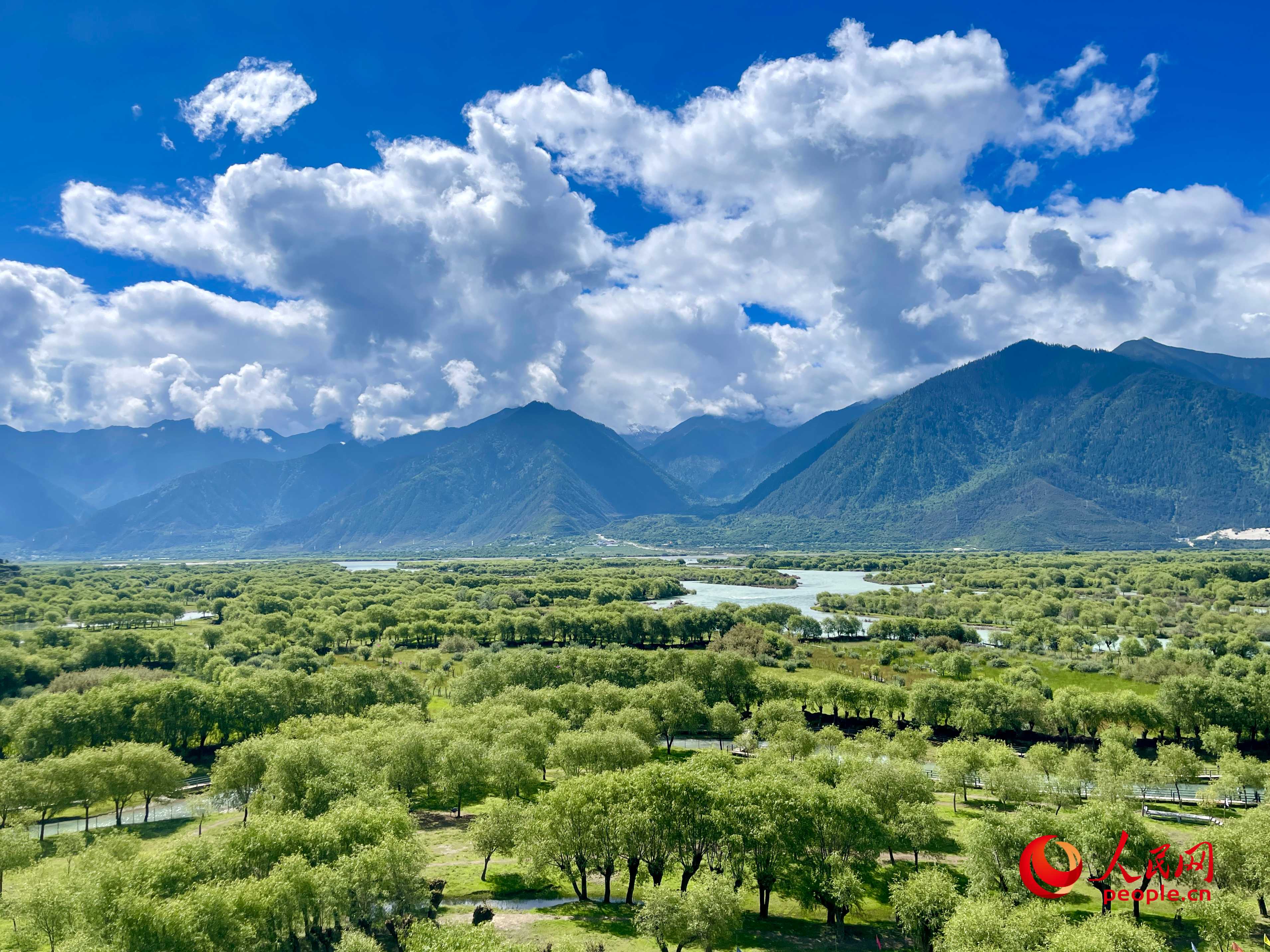 夏日的雅尼國(guó)家濕地公園生機(jī)盎然，如詩(shī)如畫(huà)。人民網(wǎng) 周靜圓攝