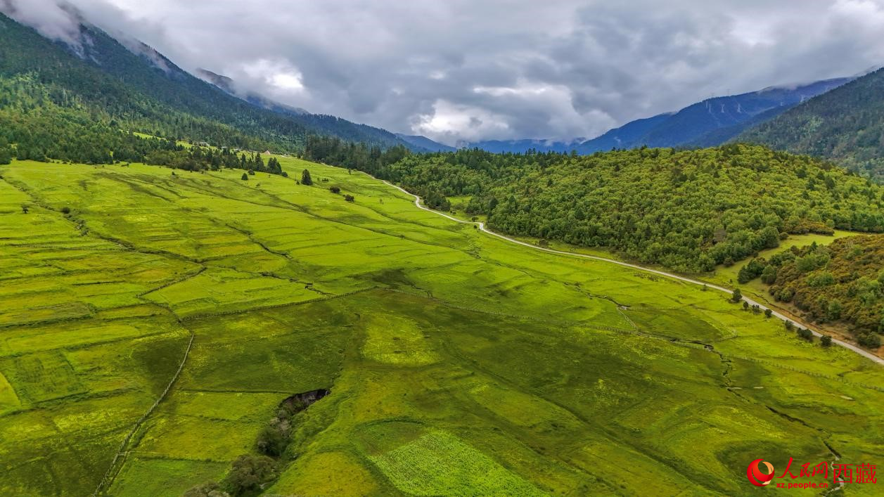 圖為航拍高山牧場(chǎng)鳥(niǎo)瞰圖。人民網(wǎng)記者 次仁羅布攝