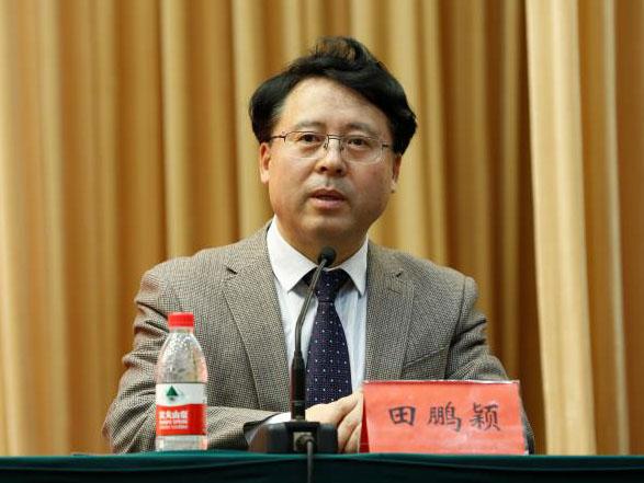 田鵬穎：投入其中、樂在其中、安身其中